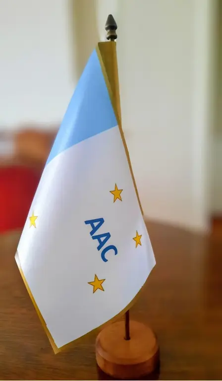 bandera academia